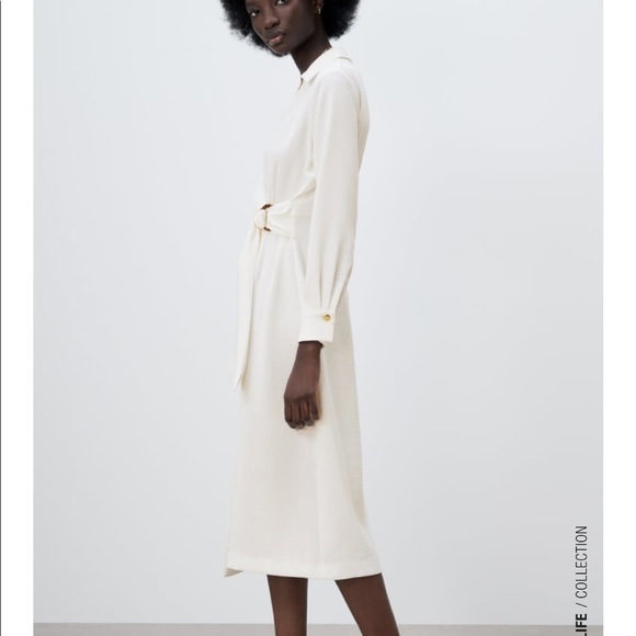 Zara Buckle Midi Dress - Picture 9 of 10